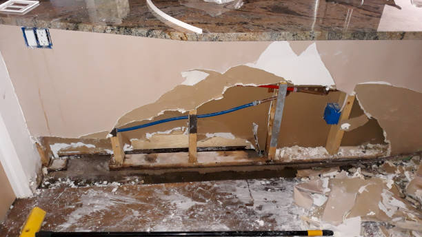 Best 24-hour water damage restoration  in Priceville, AL