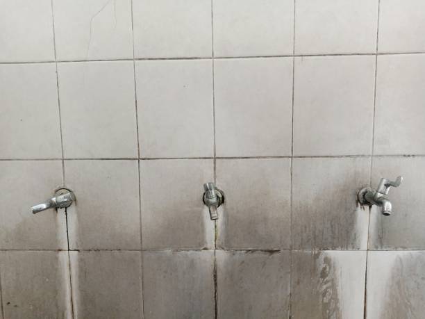 Best Residential water damage restoration  in Priceville, AL