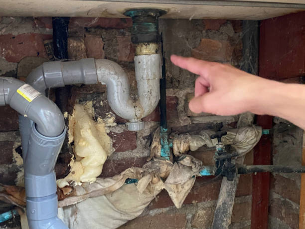 Best Sewage cleanup and water damage restoration  in Priceville, AL