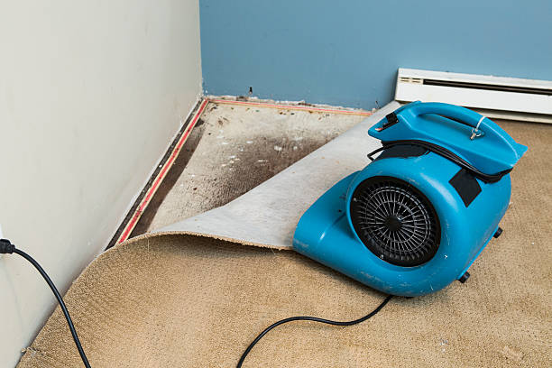 Best Commercial water damage restoration  in Priceville, AL